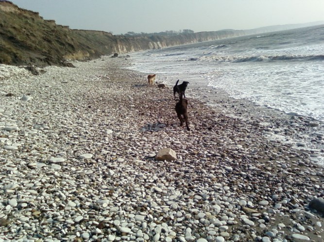 Another day at work, bliss